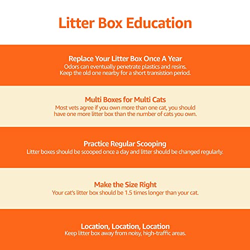 Amazon Basics Large Cat Litter Box with High Sides, Open Top, Includes Scoop, 19 x 15 x 11.75 inches, Grey/Beige