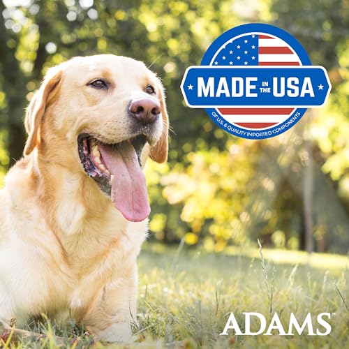 Adams Plus Flea & Tick Shampoo with Precor for Cats, Kittens, Dogs & Puppies Over 12 Weeks Of Age Sensitive Skin Flea Treatment | Kills Adult Fleas, Flea Eggs, Ticks, and Lice| 12 Ounces
