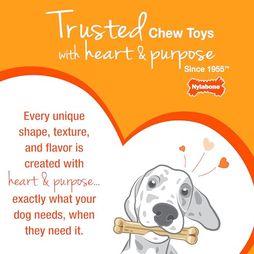 Nylabone Customer Favorites Power Chew Toy Bundle for Dogs, Indestructible Dog Toys for Aggressive Chewers, Pack of 3 Dog Toys, Flavor Medley, Small Dogs - Up to 25 lbs, 3 Pack