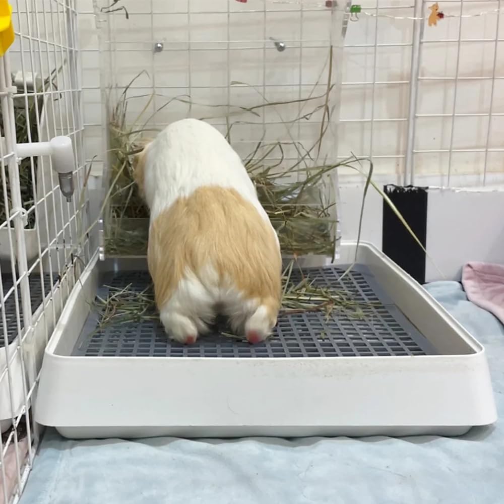 PODOO Rabbit Large Litter Box, Guinea Pig Training Pan Cage with Toilet Tray, Ideal for Rats, Ferret, Bunny Small and Medium Animals (2Pcs x Medium)