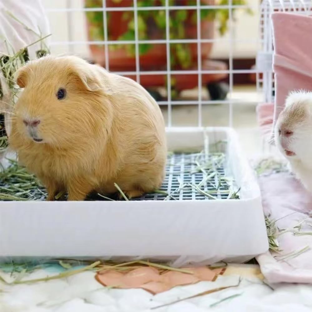 PODOO Rabbit Large Litter Box, Guinea Pig Training Pan Cage with Toilet Tray, Ideal for Rats, Ferret, Bunny Small and Medium Animals (2Pcs x Medium)