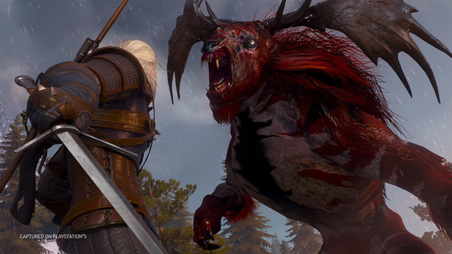 CD Projekt The Witcher 3: Wild Hunt Complete Anglais Playstation 5
