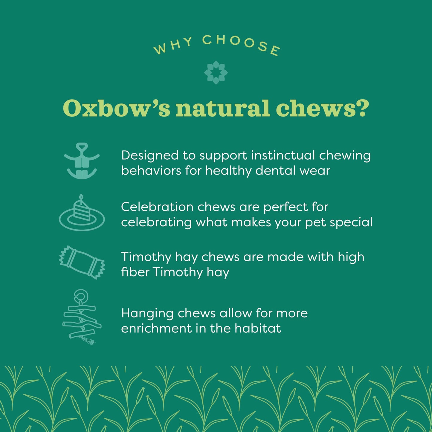 Oxbow Enriched Life Celebration Cupcake, Rabbit Toys, Guinea Pig Toys, Enrichment for Bunny, Hamster, Rabbit, Chinchilla, Rat, Chinchilla Cage Accessories, Guinea Pig Accessories for Cage