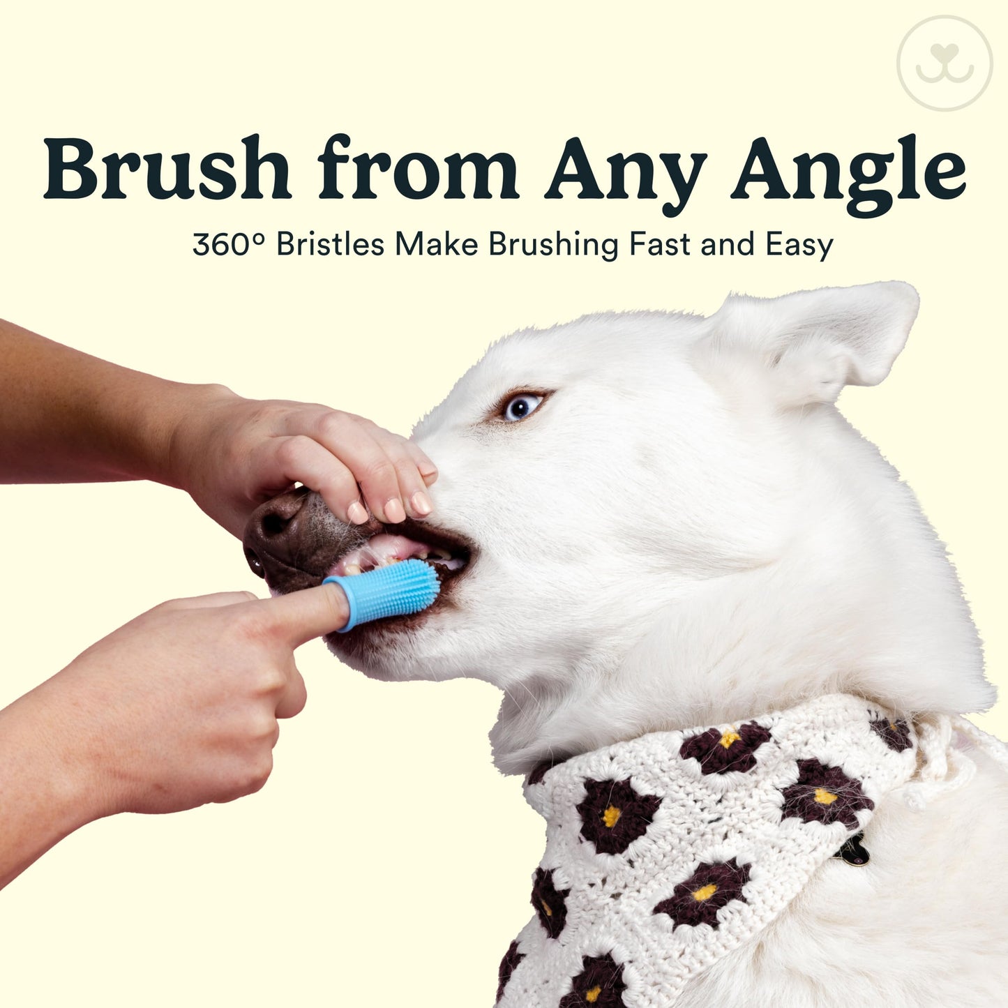 Jasper Dog Toothbrush, 360º Dog Tooth Brushing Kit, Cat Toothbrush, Dog Teeth Cleaning, Dog Finger Toothbrush, Dog Tooth Brush for Small & Large Pets, Dog Toothpaste Not Included, 4-Pack Blue