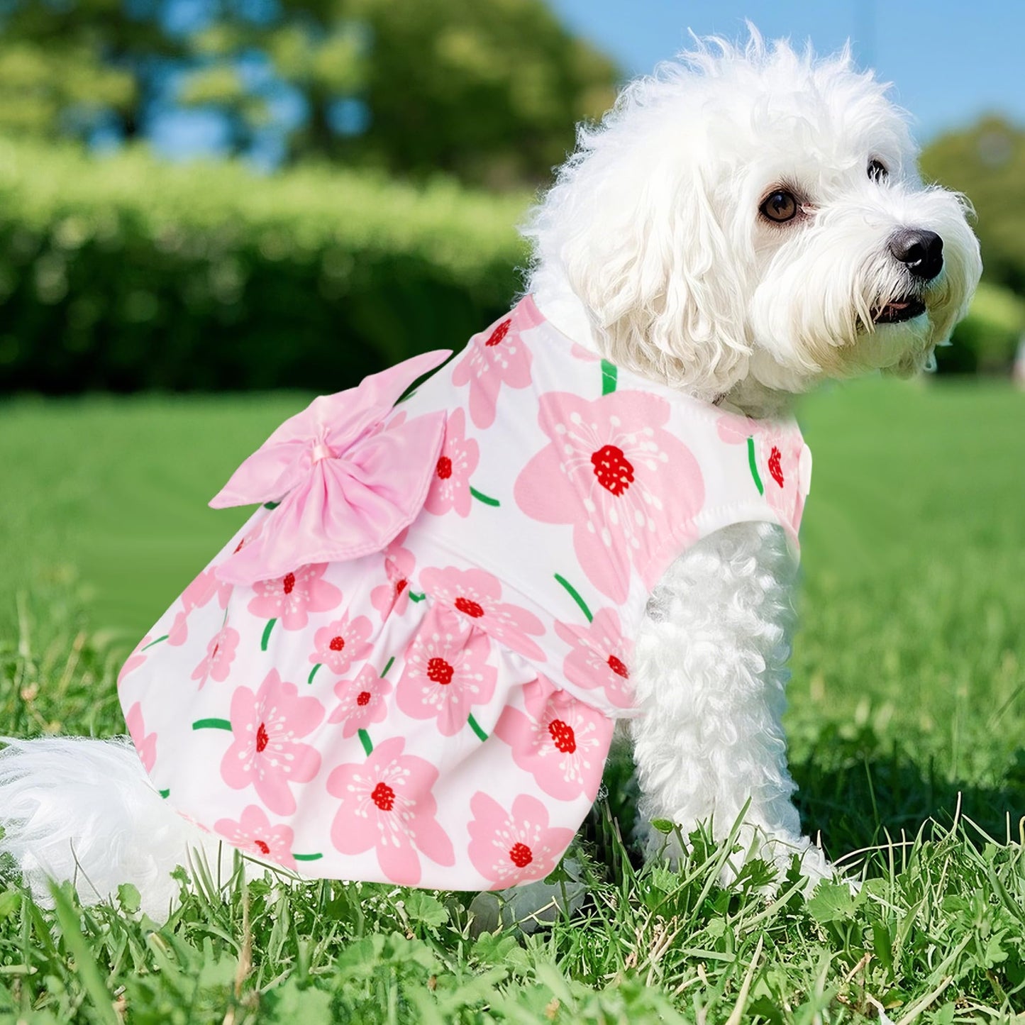 choyaxo Floral Dog Dress Cute Dog Skirt Pet Dress Summer Pet Clothes for Puppy Small Cats