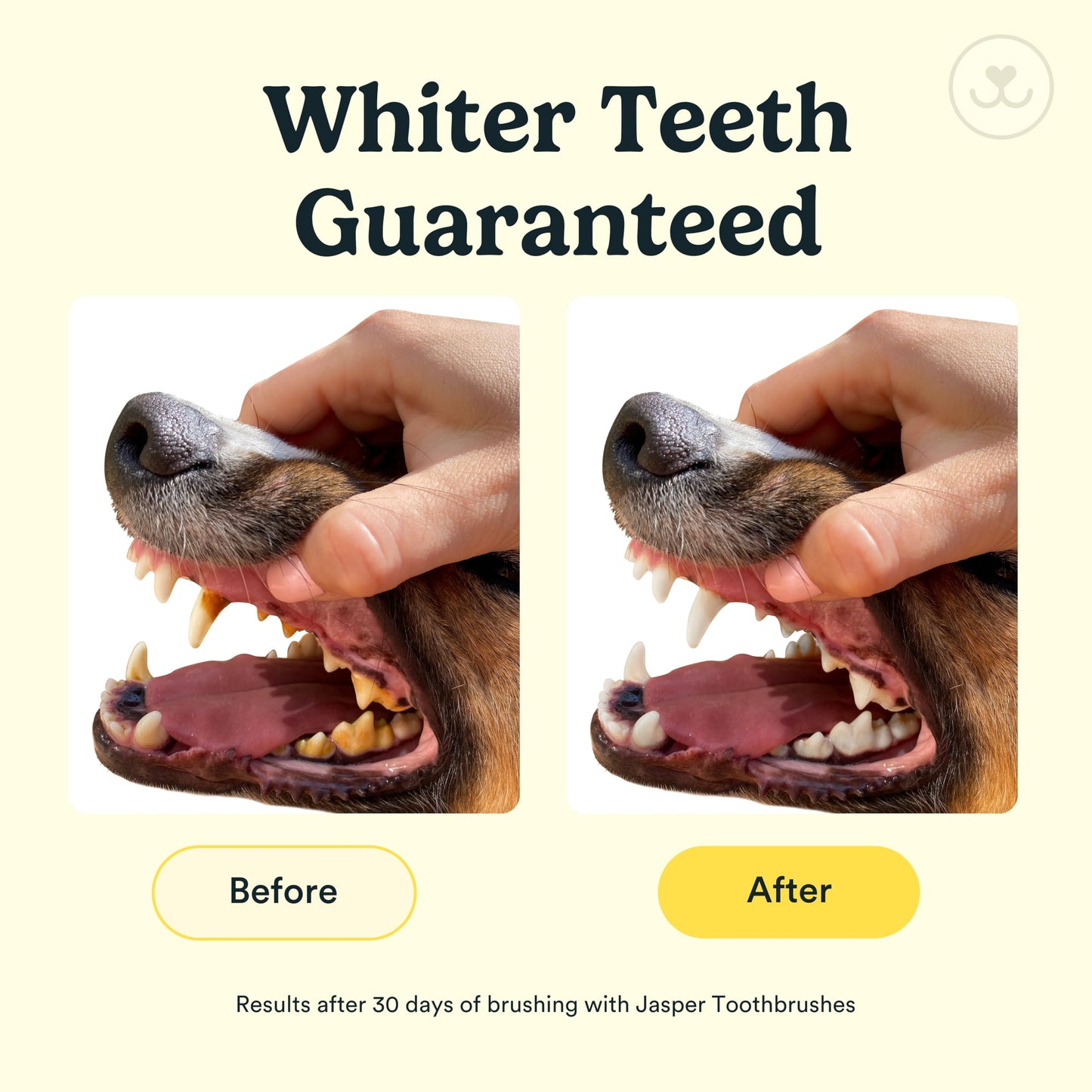 Jasper Dog Toothbrush, 360º Dog Tooth Brushing Kit, Cat Toothbrush, Dog Teeth Cleaning, Dog Finger Toothbrush, Dog Tooth Brush for Small & Large Pets, Dog Toothpaste Not Included, 4-Pack Blue
