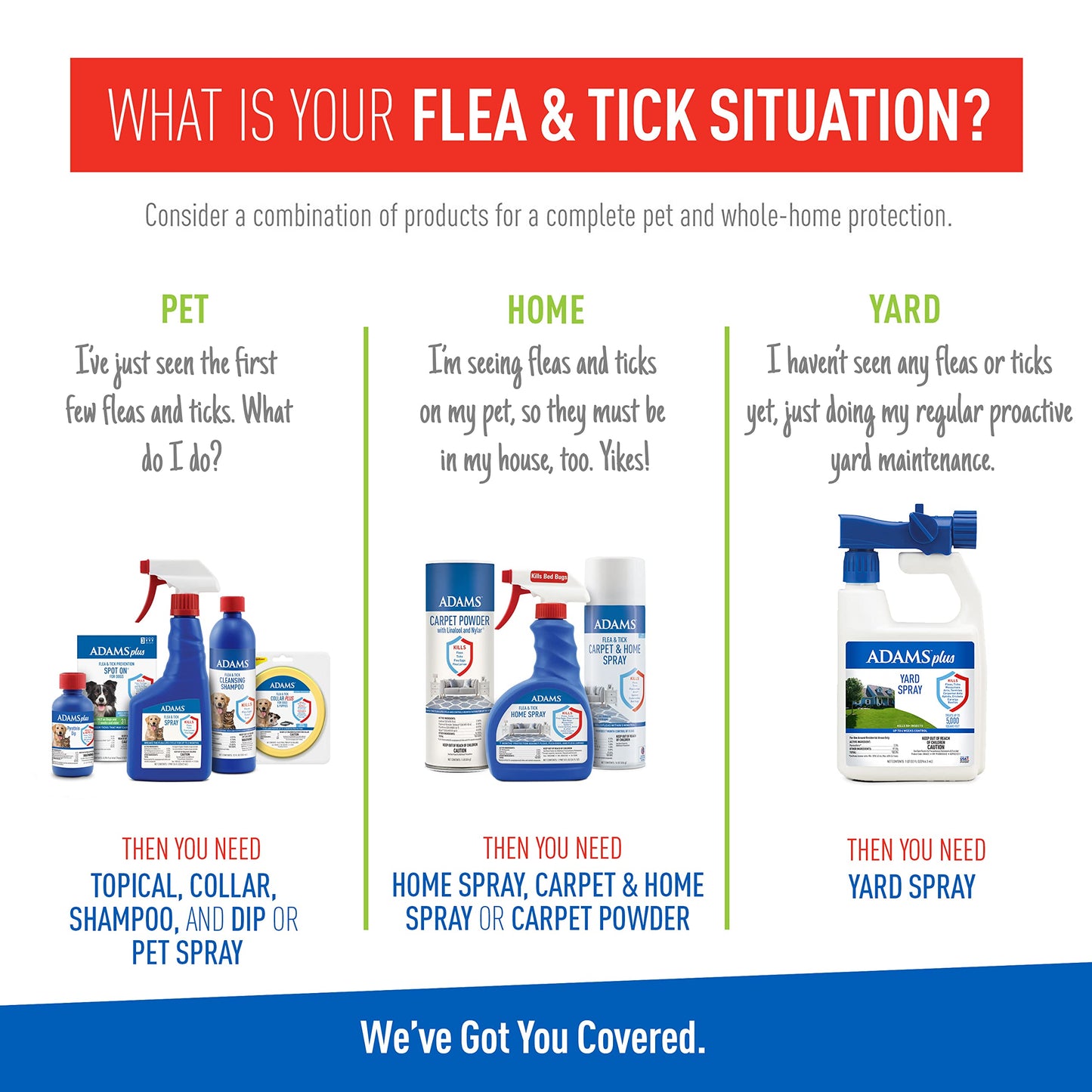 Adams Plus Flea & Tick Shampoo with Precor for Cats, Kittens, Dogs & Puppies Over 12 Weeks Of Age Sensitive Skin Flea Treatment | Kills Adult Fleas, Flea Eggs, Ticks, and Lice| 12 Ounces