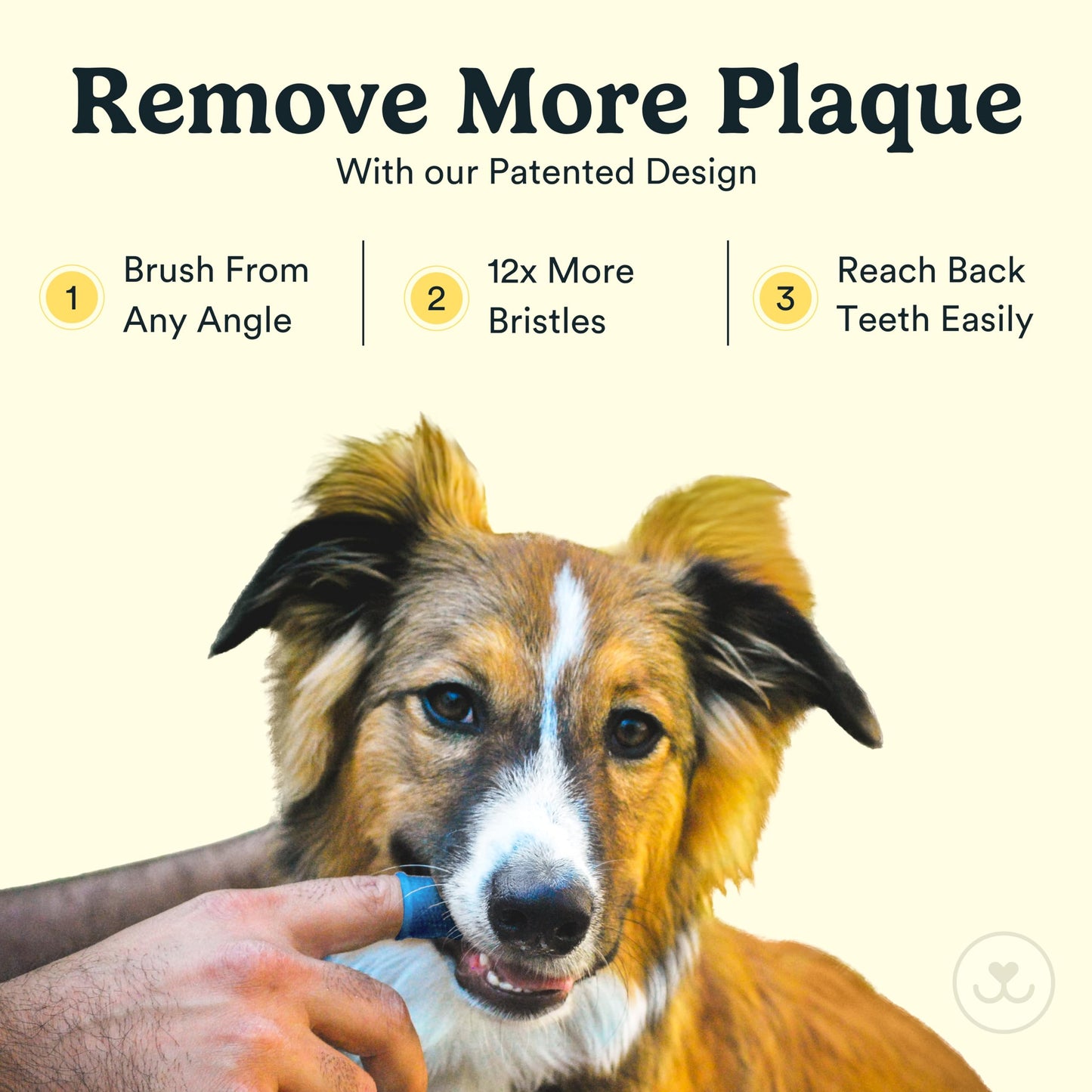 Jasper Dog Toothbrush, 360º Dog Tooth Brushing Kit, Cat Toothbrush, Dog Teeth Cleaning, Dog Finger Toothbrush, Dog Tooth Brush for Small & Large Pets, Dog Toothpaste Not Included, 4-Pack Blue