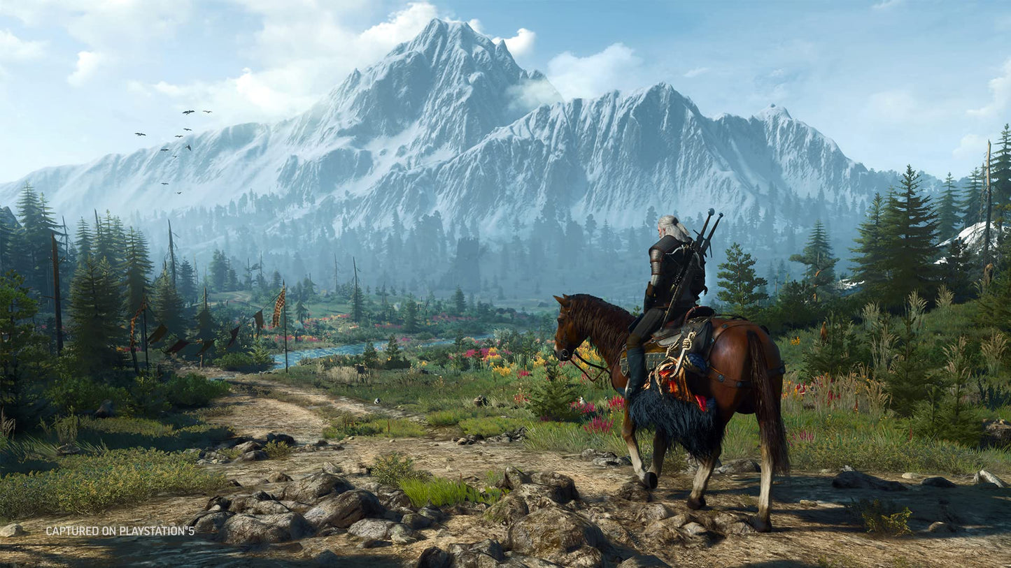 CD Projekt The Witcher 3: Wild Hunt Complete Anglais Playstation 5