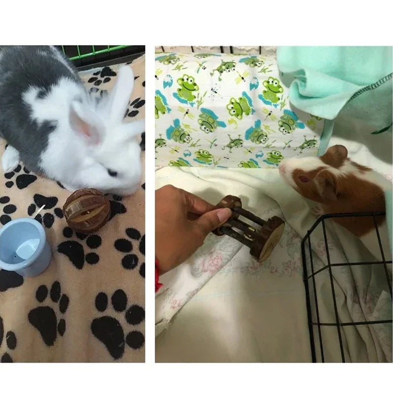 conejillo de indias, conejo, hámster, Animal PEQUEÑO, juguetes con rodillo para mascotas, mancuernas de pino de madera Natural, monociclo, campana para masticar, bola trenzada