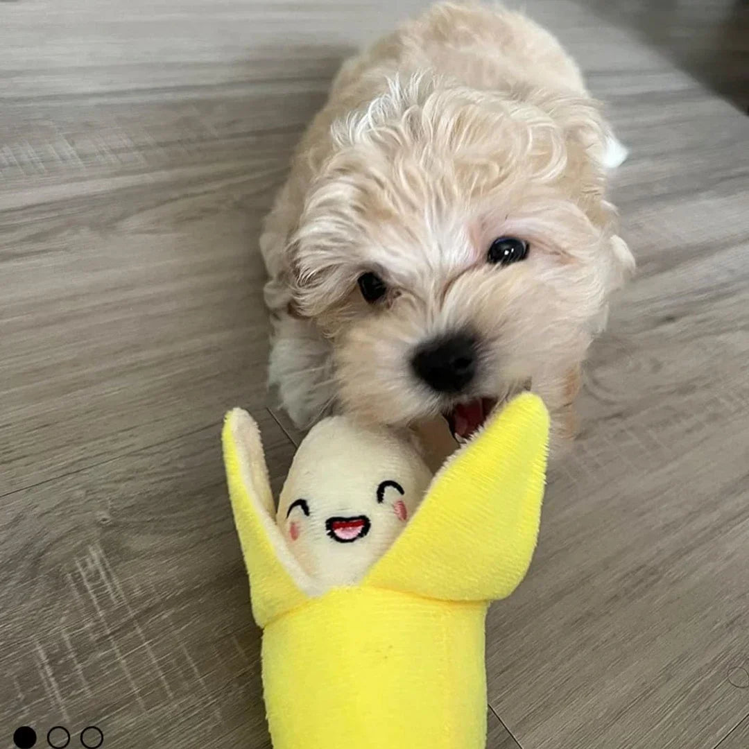 Un juego de 7 piezas de juguetes con sonido para cachorros, masticar mascotas de peluche suelto, aperitivos de frutas de peluche y juguetes para cachorros de verduras, adecuado para juegos lindos