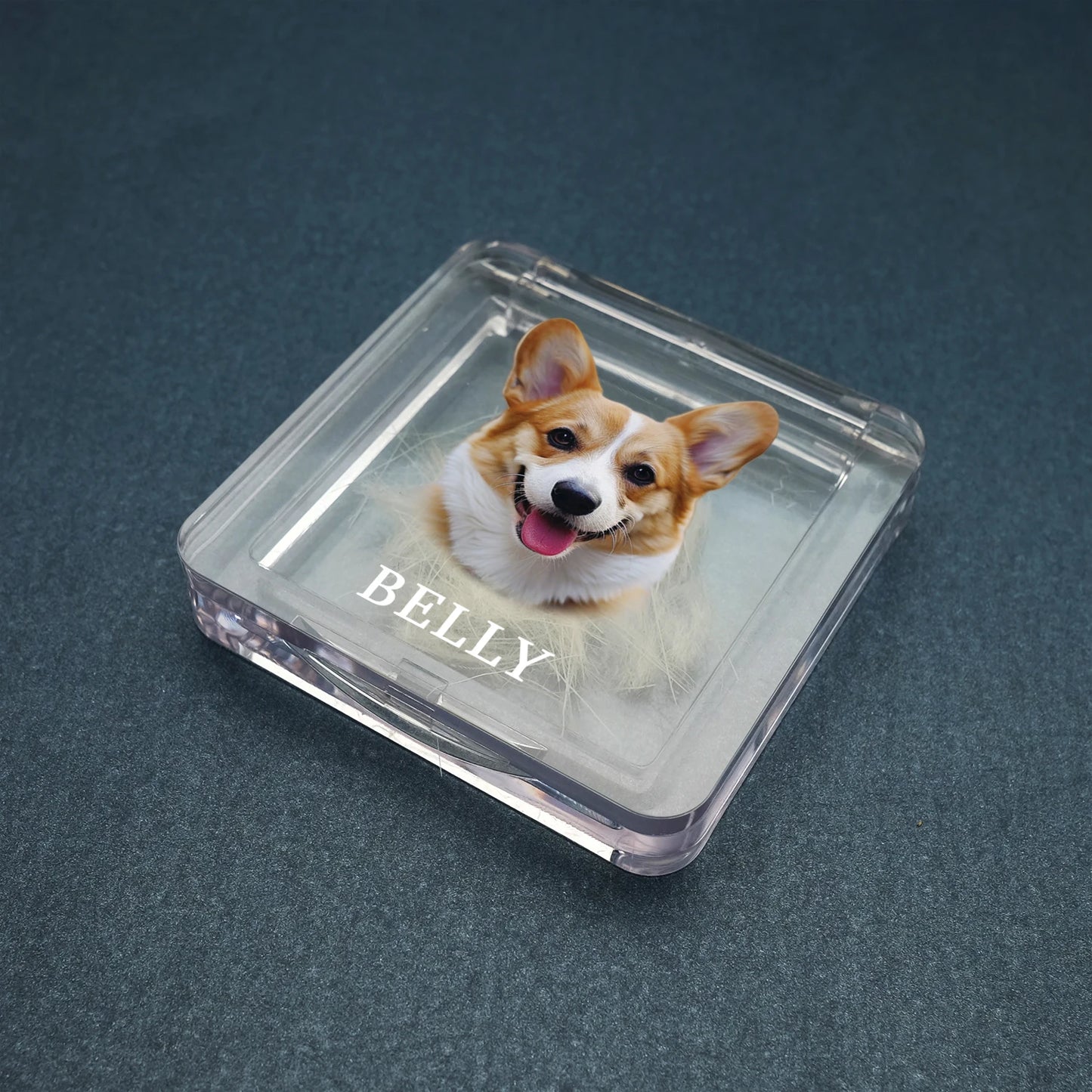Recuerdo de piel de mascota personalizado con foto, caja de pelo de mascota personalizada, caja conmemorativa de piel de perro y gato, regalos personalizados para amantes de las mascotas