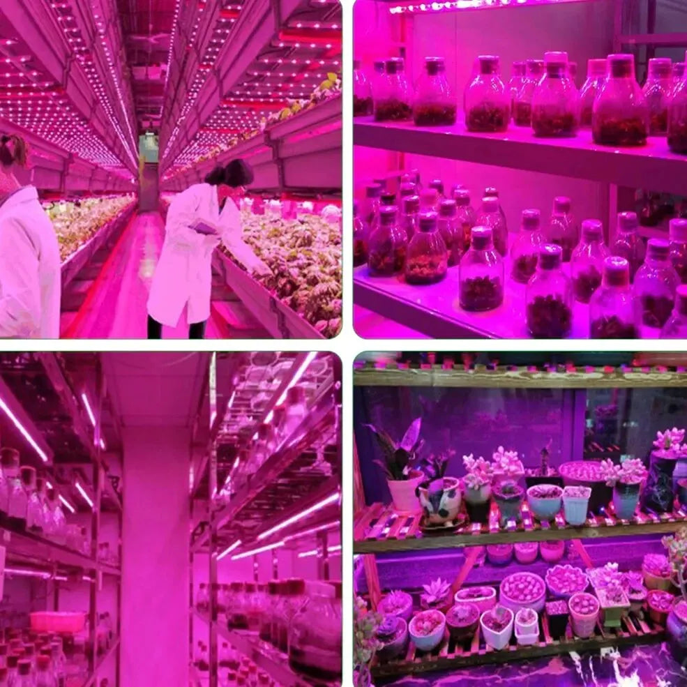 Luz Led USB de 5V para cultivo de plantas, lámpara Phyto de espectro completo, tira de 1m, 2m, 3m para semillas, tienda de campaña de invernadero de flores, iluminación de plantas hidropónicas