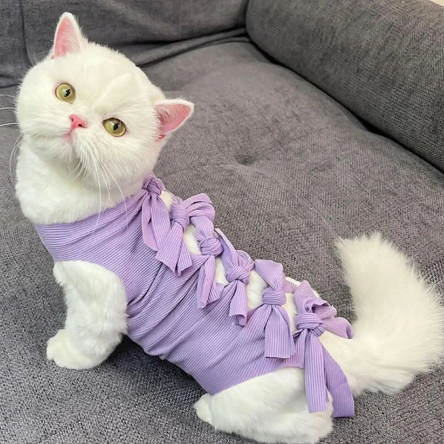 Traje de recuperación quirúrgica para gatos, traje quirúrgico transpirable para gatos, mono para prevención de heridas lamer, mascota interior neutra para el hogar