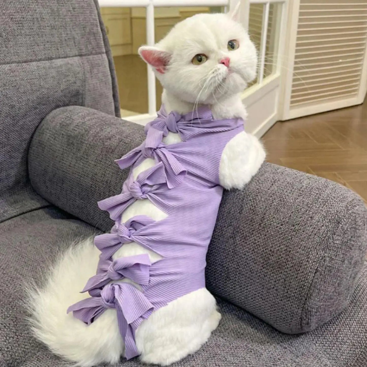 Traje de recuperación quirúrgica para gatos, traje quirúrgico transpirable para gatos, mono para prevención de heridas lamer, mascota interior neutra para el hogar