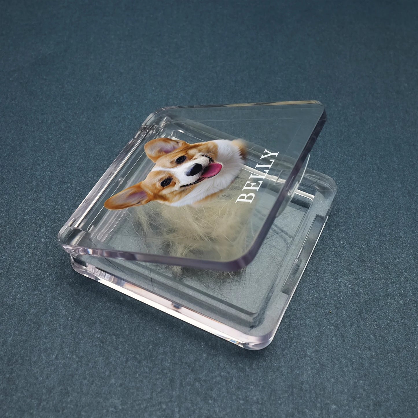 Recuerdo de piel de mascota personalizado con foto, caja de pelo de mascota personalizada, caja conmemorativa de piel de perro y gato, regalos personalizados para amantes de las mascotas
