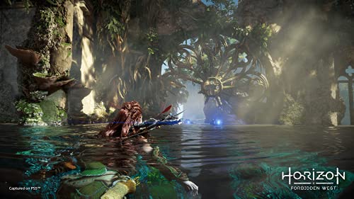 Horizon Forbidden West (PS5)