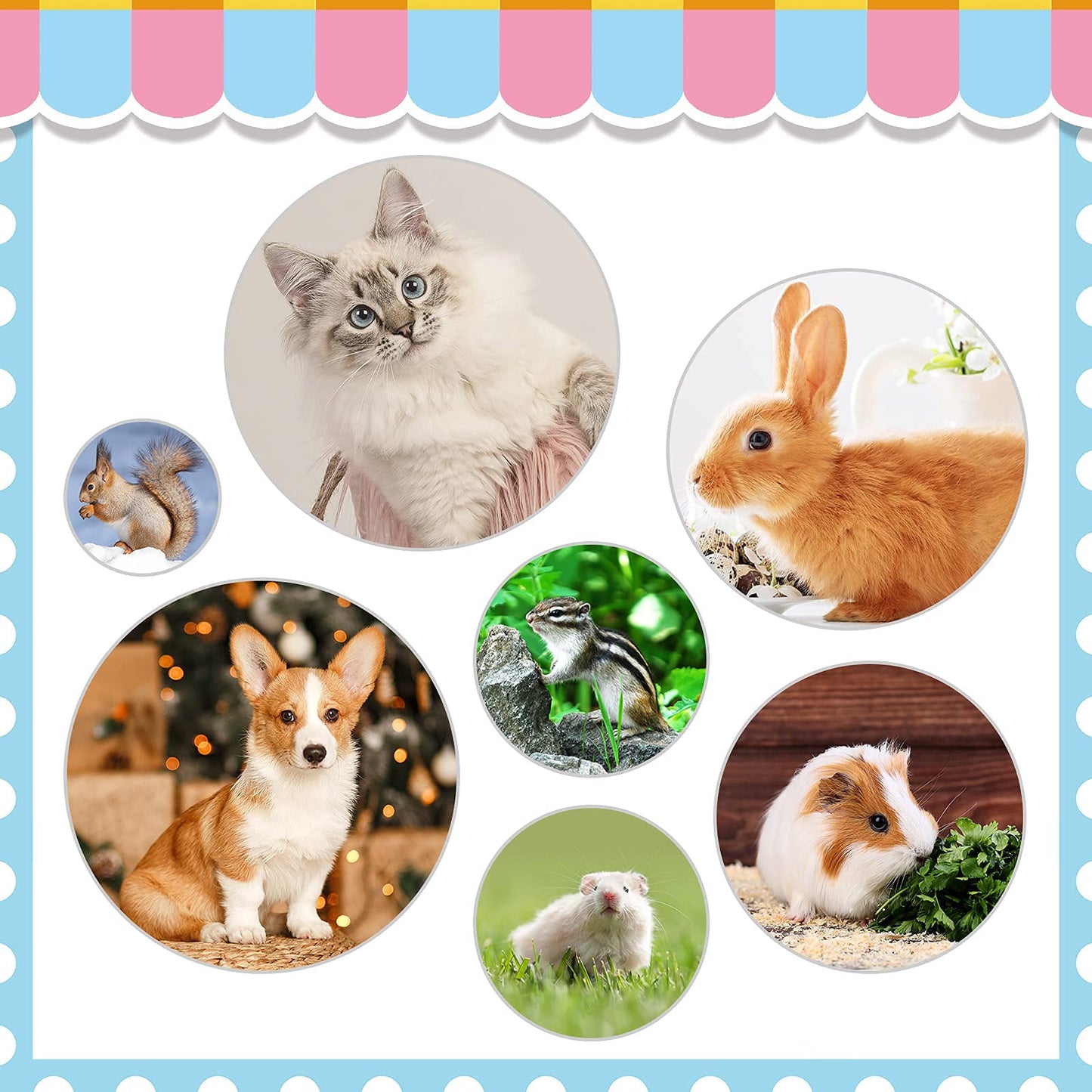 Rabbit Grooming Kit, Rabbit Brush for Shedding with Bunny Nail Clipper, Rabbit Nail Trimmers with Pet Combs for Hamster Guinea Pig Ferret by KALAMANDA(6 Pack)