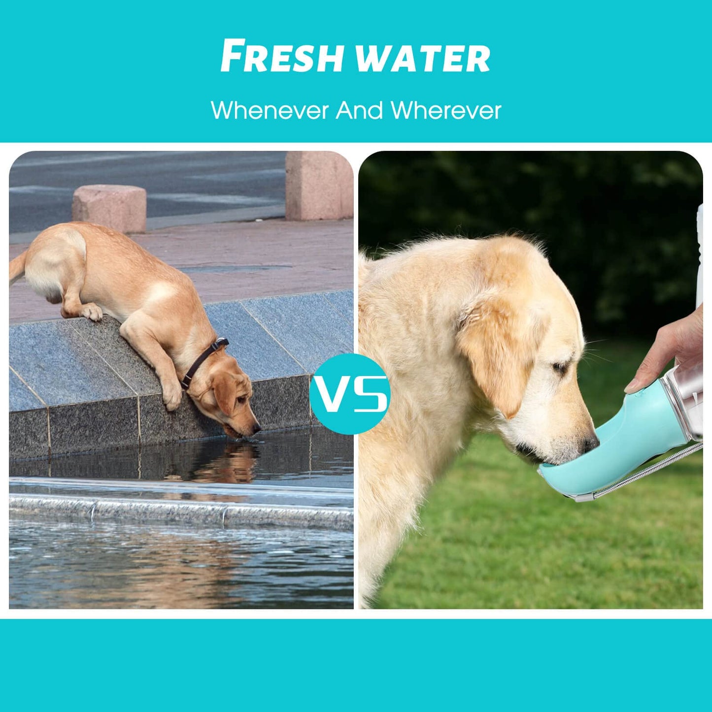 Kalimdor Botella de agua para perros, dispensador de agua portátil a prueba de fugas para cachorros con alimentador para mascotas, caminar al aire libre, senderismo, viajes, plástico de grado
