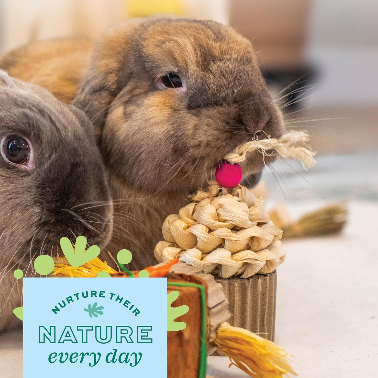 Oxbow Enriched Life Celebration Cupcake, Rabbit Toys, Guinea Pig Toys, Enrichment for Bunny, Hamster, Rabbit, Chinchilla, Rat, Chinchilla Cage Accessories, Guinea Pig Accessories for Cage