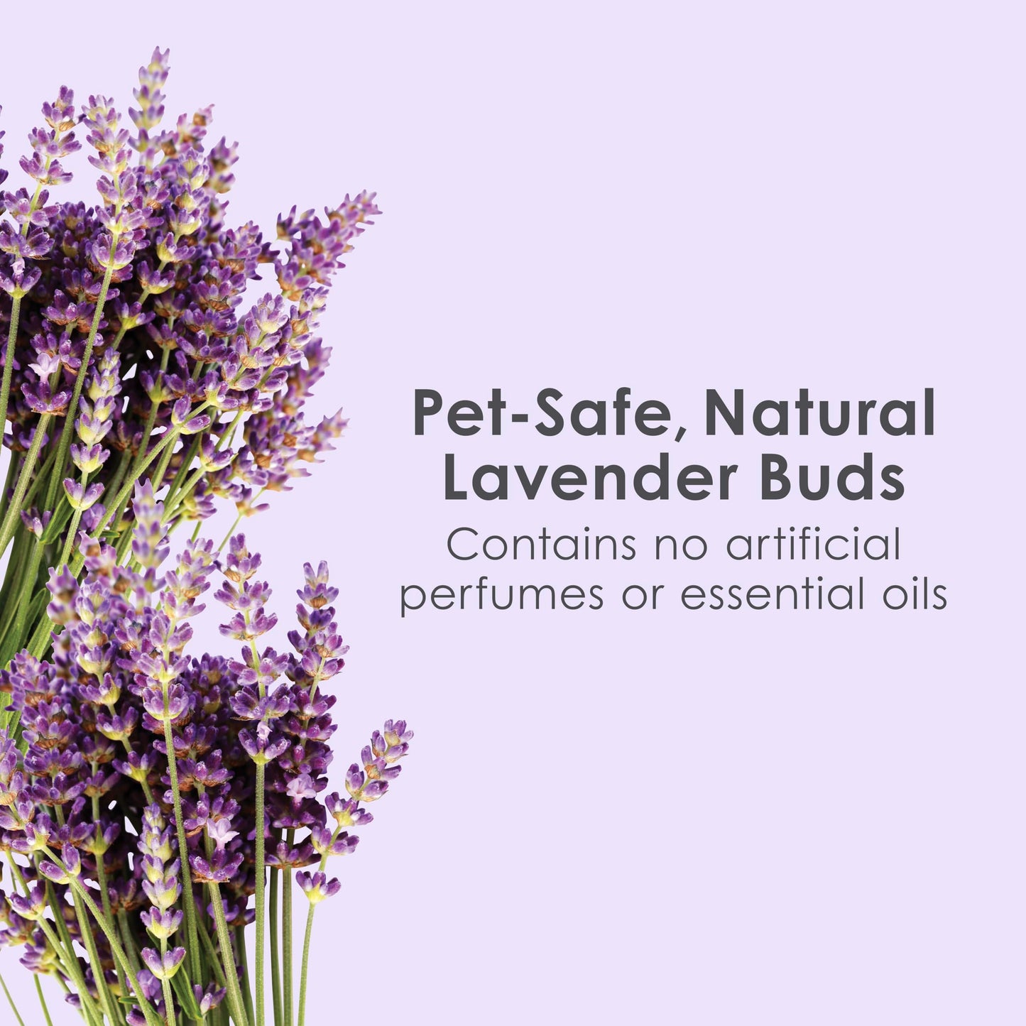 Kaytee Clean & Cozy Lavender Bedding For Pet Guinea Pigs, Rabbits, Hamsters, Gerbils, and Chinchillas, 49.2 Liters