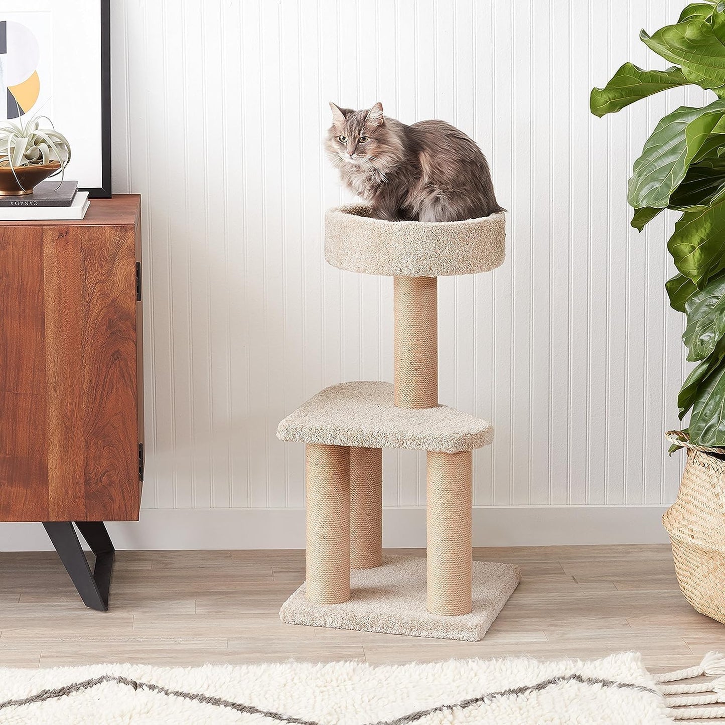 Amazon Basics - Torre mediana de árbol de actividades para gatos con poste para arañar (16 x 16 x 31 pulgadas)