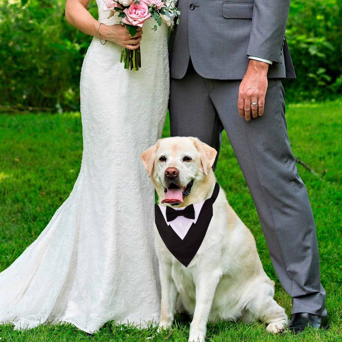 ADOGGYGO Formal Dog Tuxedo, Wedding Dog Collar with Bow Tie, Adjustable Pet Wedding Collar Bandana for Small Medium Large Dogs (Large, Black)