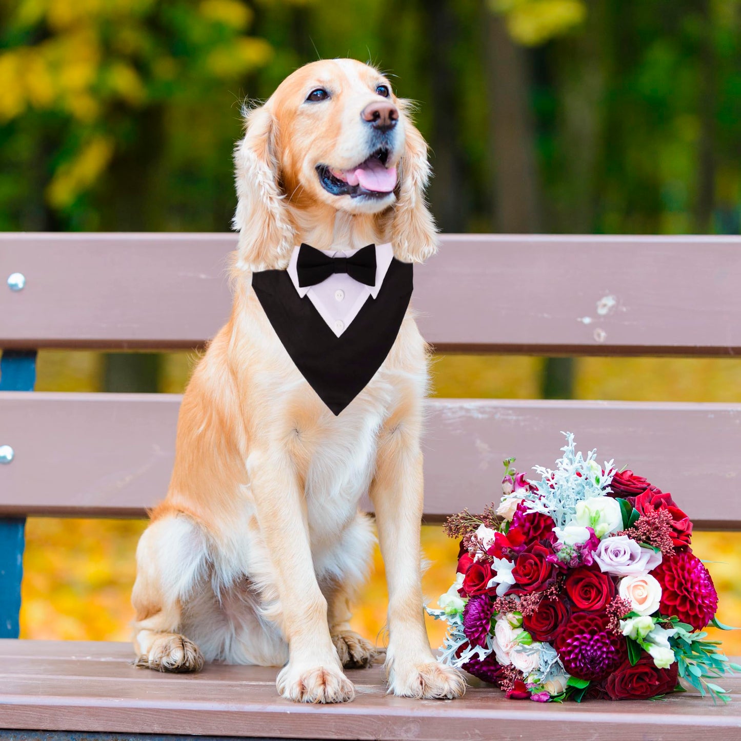 ADOGGYGO Formal Dog Tuxedo, Wedding Dog Collar with Bow Tie, Adjustable Pet Wedding Collar Bandana for Small Medium Large Dogs (Large, Black)
