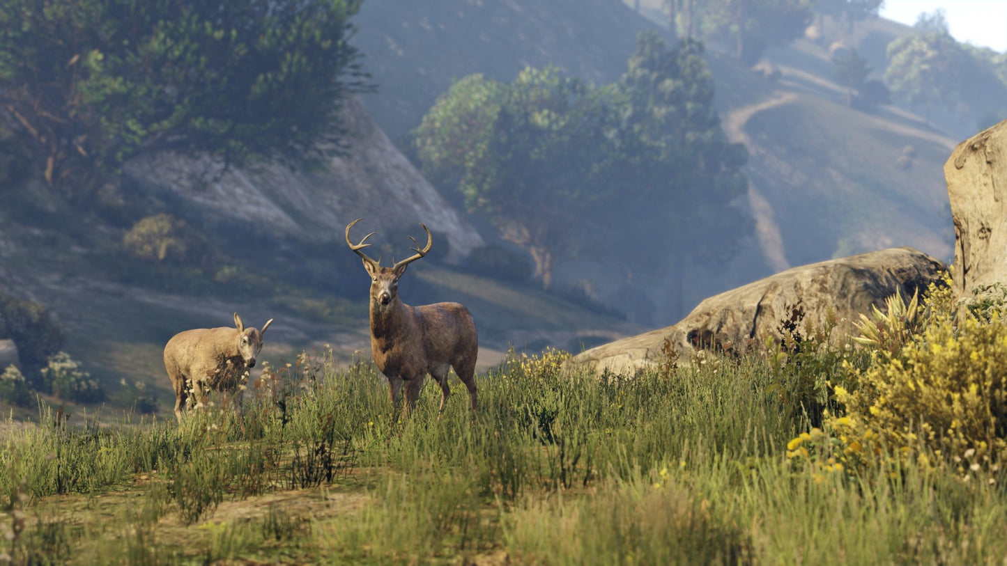 Grand Theft Auto V (Xbox One)