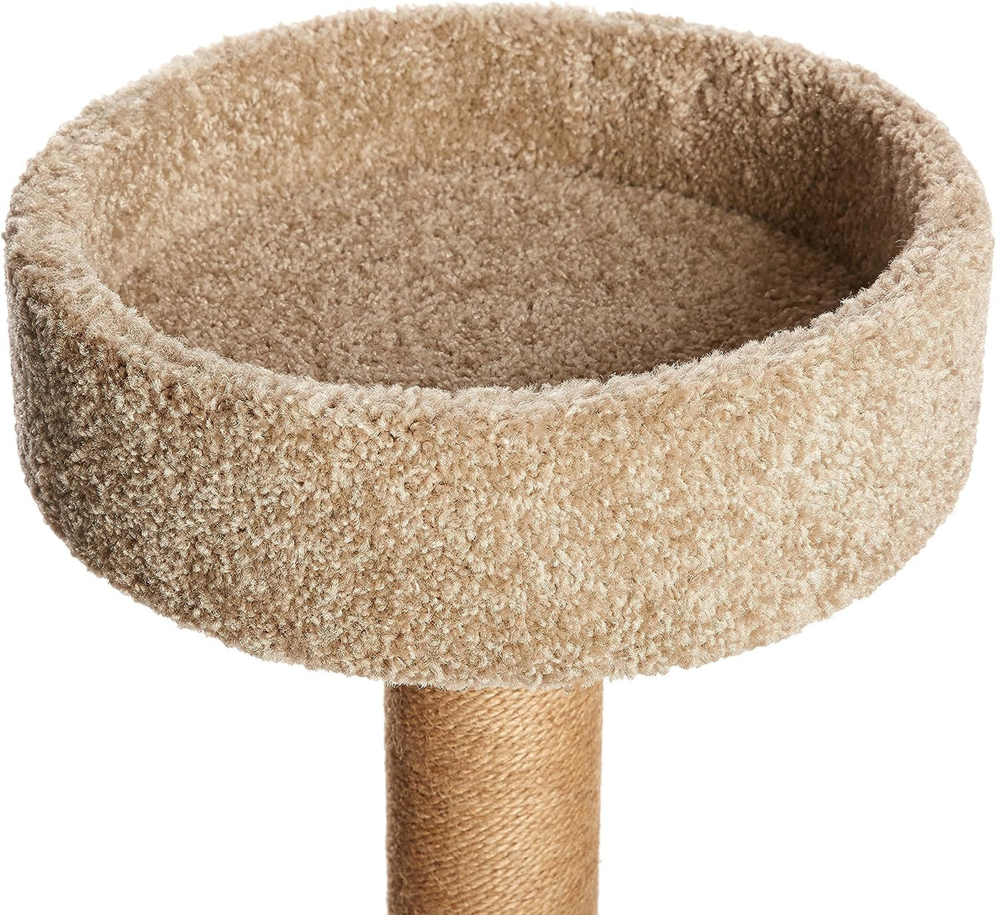 Amazon Basics - Torre mediana de árbol de actividades para gatos con poste para arañar (16 x 16 x 31 pulgadas)