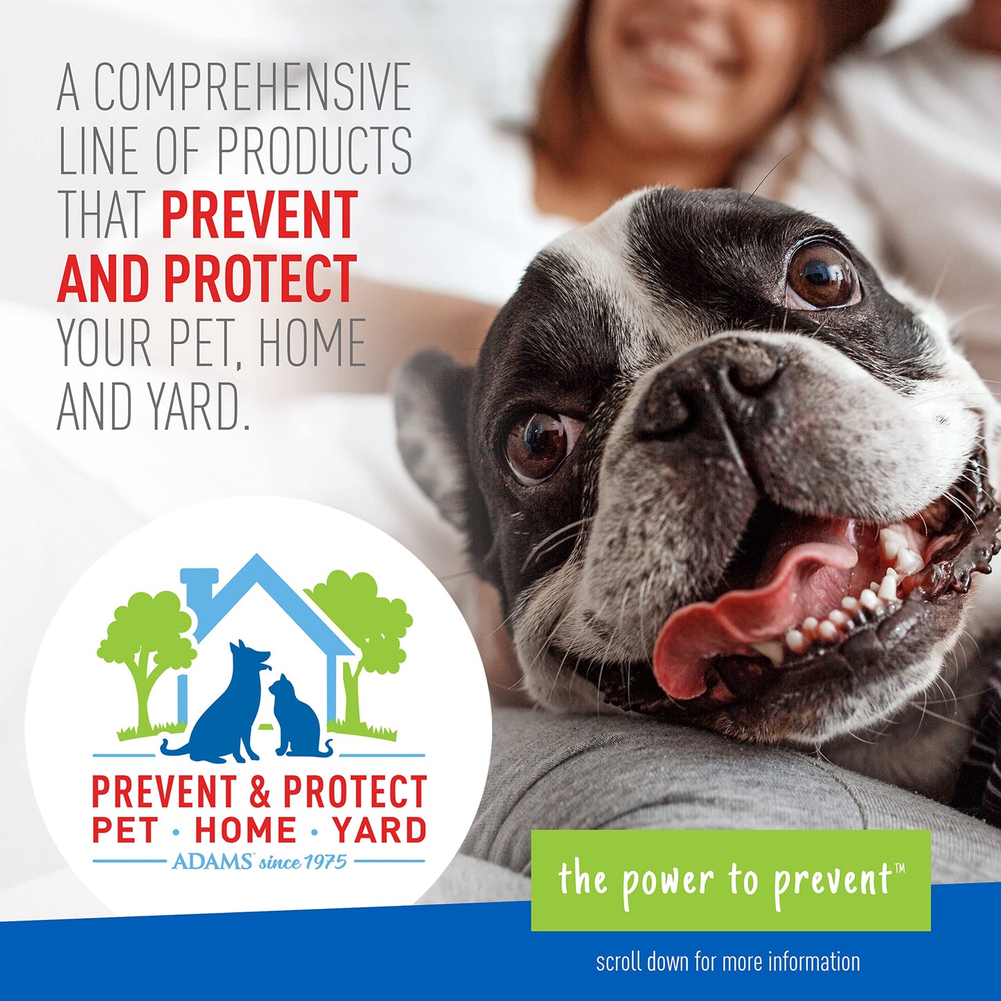 Adams Plus Flea & Tick Shampoo with Precor for Cats, Kittens, Dogs & Puppies Over 12 Weeks Of Age Sensitive Skin Flea Treatment | Kills Adult Fleas, Flea Eggs, Ticks, and Lice| 12 Ounces