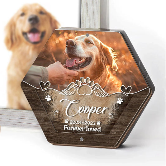 Caja de almacenamiento de pelo de mascota tallada de madera con nombre personalizado, suministros para mascotas, cajas conmemorativas personalizadas para guardar dientes, regalos conmemorativos para mascotas perdidas