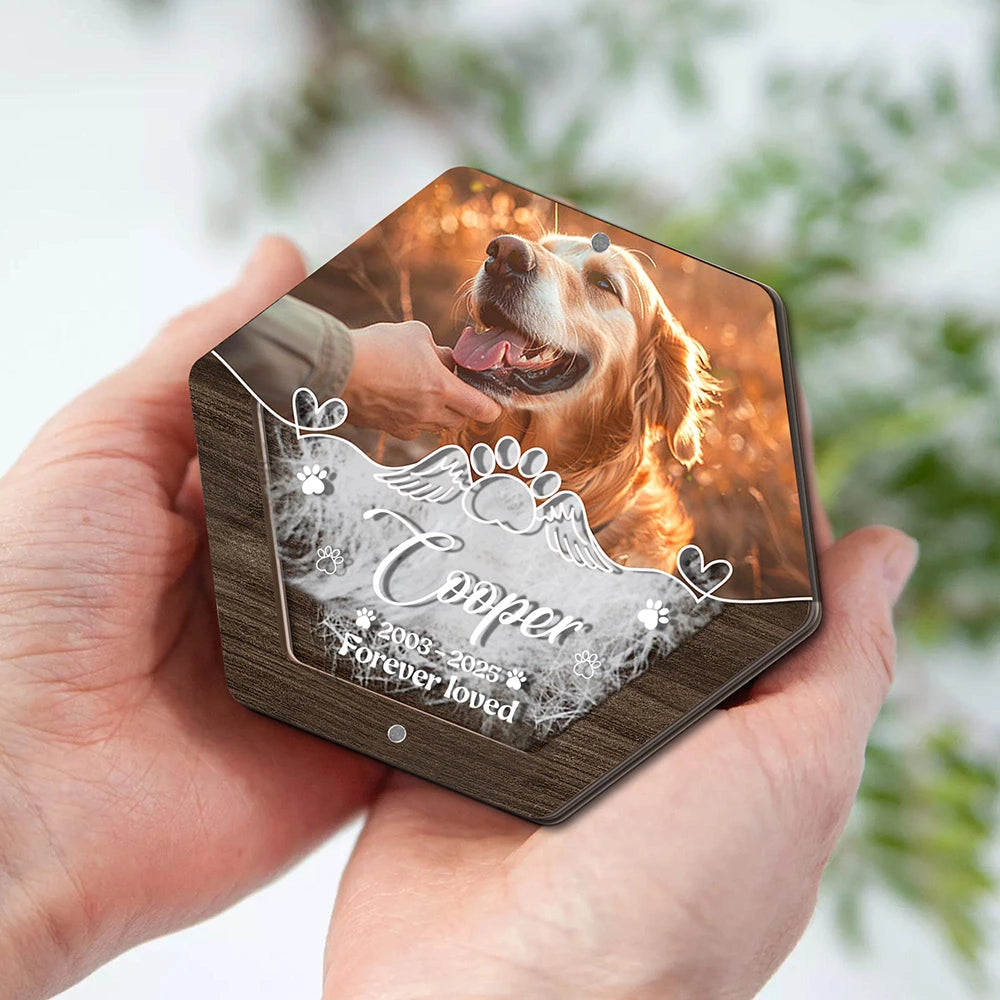 Caja de almacenamiento de pelo de mascota tallada de madera con nombre personalizado, suministros para mascotas, cajas conmemorativas personalizadas para guardar dientes, regalos conmemorativos para mascotas perdidas