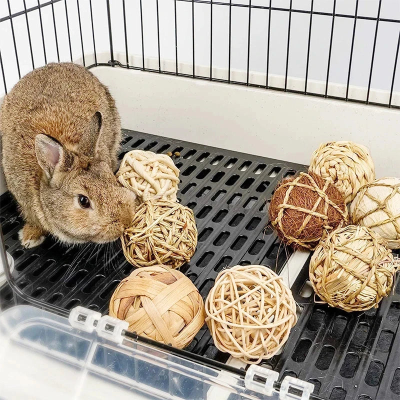 conejillo de indias, conejo, hámster, Animal PEQUEÑO, juguetes con rodillo para mascotas, mancuernas de pino de madera Natural, monociclo, campana para masticar, bola trenzada