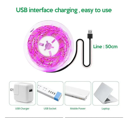 Luz Led USB de 5V para cultivo de plantas, lámpara Phyto de espectro completo, tira de 1m, 2m, 3m para semillas, tienda de campaña de invernadero de flores, iluminación de plantas hidropónicas