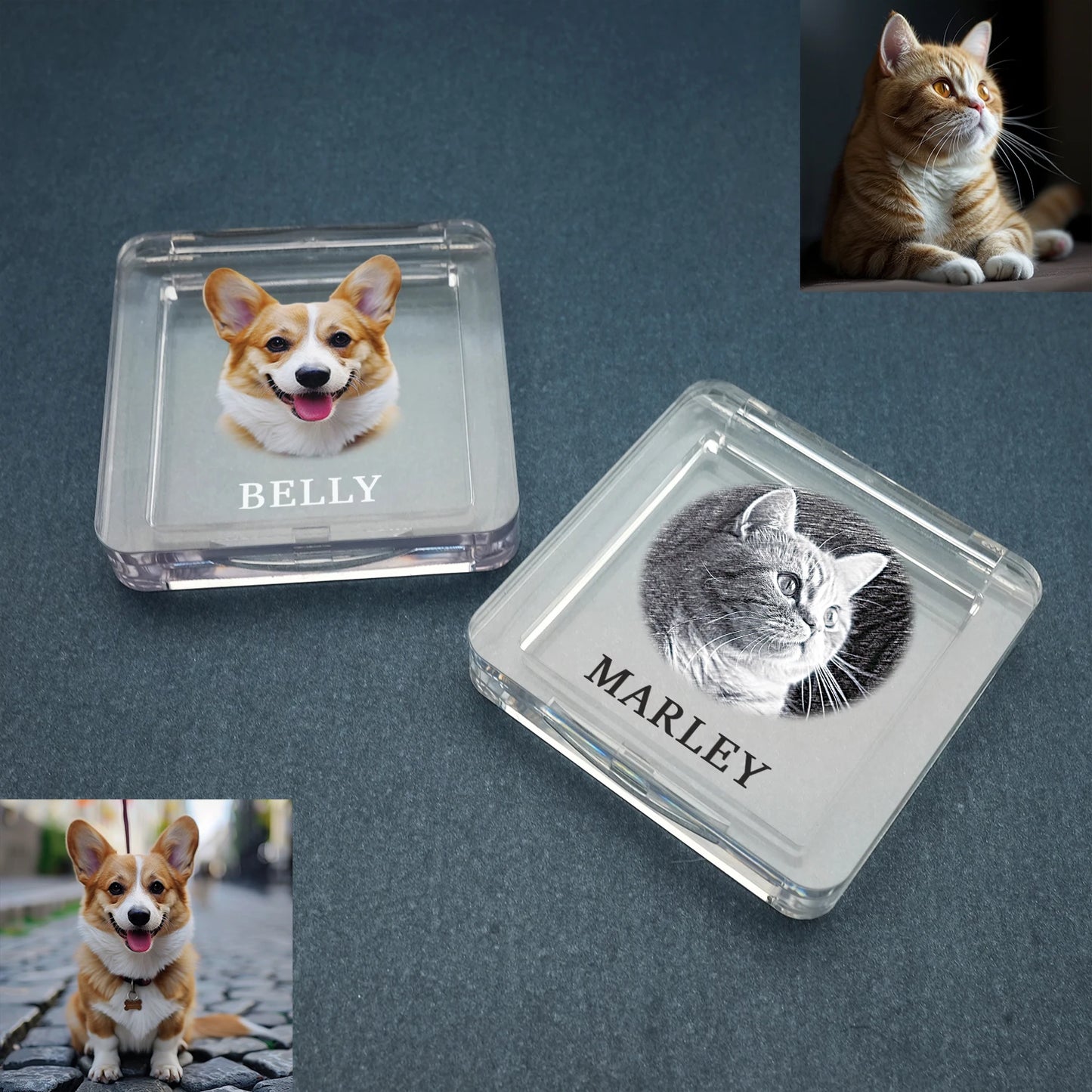 Recuerdo de piel de mascota personalizado con foto, caja de pelo de mascota personalizada, caja conmemorativa de piel de perro y gato, regalos personalizados para amantes de las mascotas