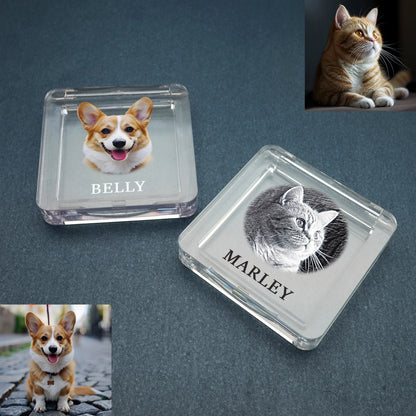 Recuerdo de piel de mascota personalizado con foto, caja de pelo de mascota personalizada, caja conmemorativa de piel de perro y gato, regalos personalizados para amantes de las mascotas