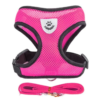 Arnés de malla ajustable de poliéster para gatos, chaleco para caminar, correa de plomo para cachorros, Collar para perros pequeños y medianos, accesorios para mascotas