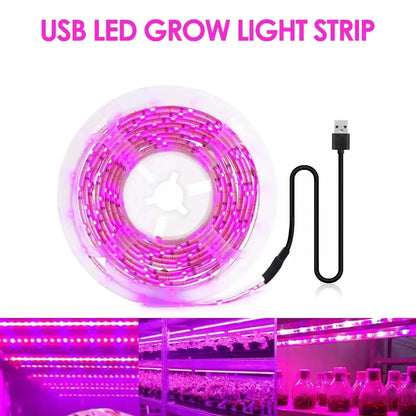Luz Led USB de 5V para cultivo de plantas, lámpara Phyto de espectro completo, tira de 1m, 2m, 3m para semillas, tienda de campaña de invernadero de flores, iluminación de plantas hidropónicas