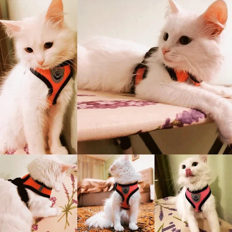 Arnés de malla ajustable de poliéster para gatos, chaleco para caminar, correa de plomo para cachorros, Collar para perros pequeños y medianos, accesorios para mascotas