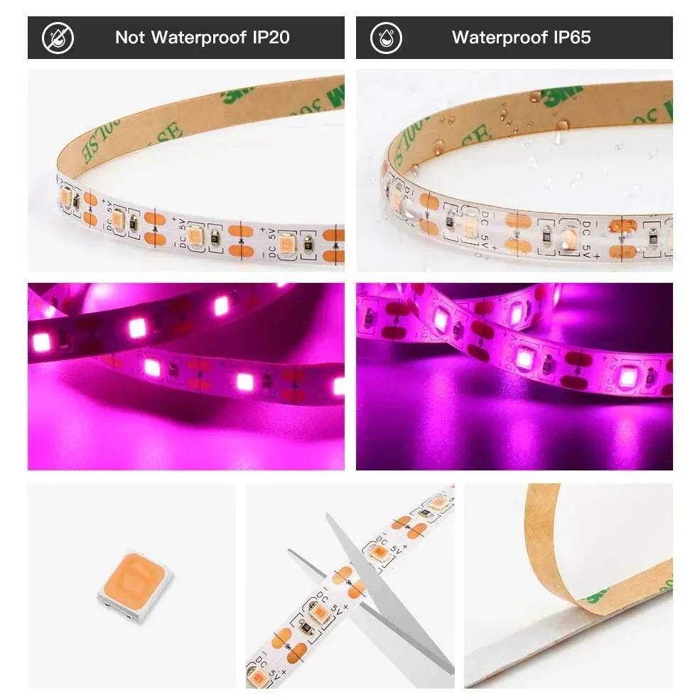 Luz Led USB de 5V para cultivo de plantas, lámpara Phyto de espectro completo, tira de 1m, 2m, 3m para semillas, tienda de campaña de invernadero de flores, iluminación de plantas hidropónicas