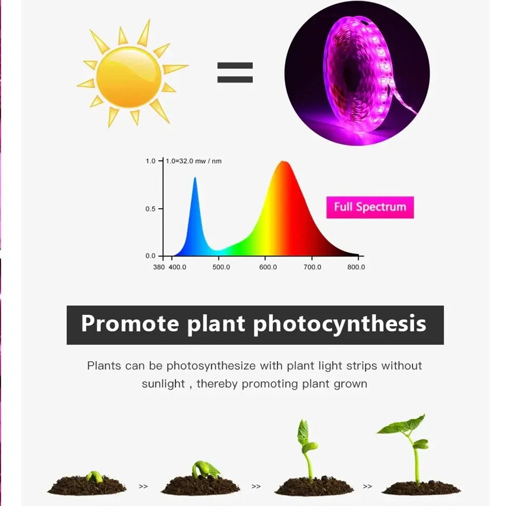 Luz Led USB de 5V para cultivo de plantas, lámpara Phyto de espectro completo, tira de 1m, 2m, 3m para semillas, tienda de campaña de invernadero de flores, iluminación de plantas hidropónicas