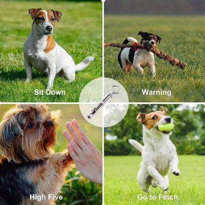 Silbato para perros 1/2 Uds para dejar de ladrar, silbato para perros con tono de sonido ajustable con llavero, recuerdo profesional para cachorros y gatos