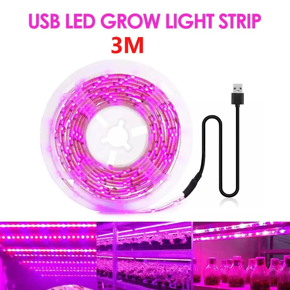 Luz Led USB de 5V para cultivo de plantas, lámpara Phyto de espectro completo, tira de 1m, 2m, 3m para semillas, tienda de campaña de invernadero de flores, iluminación de plantas hidropónicas