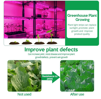 Luz Led USB de 5V para cultivo de plantas, lámpara Phyto de espectro completo, tira de 1m, 2m, 3m para semillas, tienda de campaña de invernadero de flores, iluminación de plantas hidropónicas
