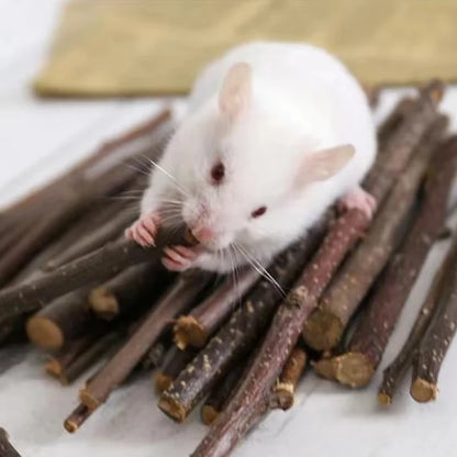 conejillo de indias, conejo, hámster, Animal PEQUEÑO, juguetes con rodillo para mascotas, mancuernas de pino de madera Natural, monociclo, campana para masticar, bola trenzada