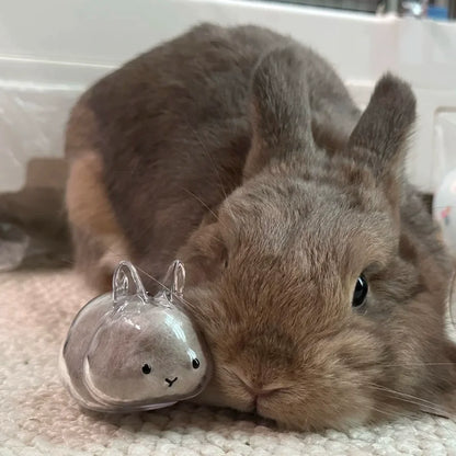 Botella de recuerdo de pelo de conejo transparente, cápsula de almacenamiento de pelo de mascota, llavero, regalo pensativo para amantes y propietarios de conejos