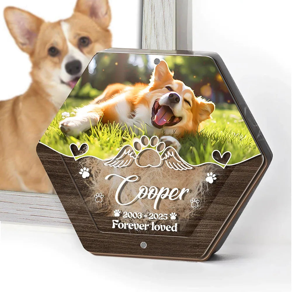 Caja de almacenamiento de pelo de mascota tallada de madera con nombre personalizado, suministros para mascotas, cajas conmemorativas personalizadas para guardar dientes, regalos conmemorativos para mascotas perdidas