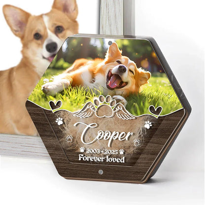 Caja de almacenamiento de pelo de mascota tallada de madera con nombre personalizado, suministros para mascotas, cajas conmemorativas personalizadas para guardar dientes, regalos conmemorativos para mascotas perdidas