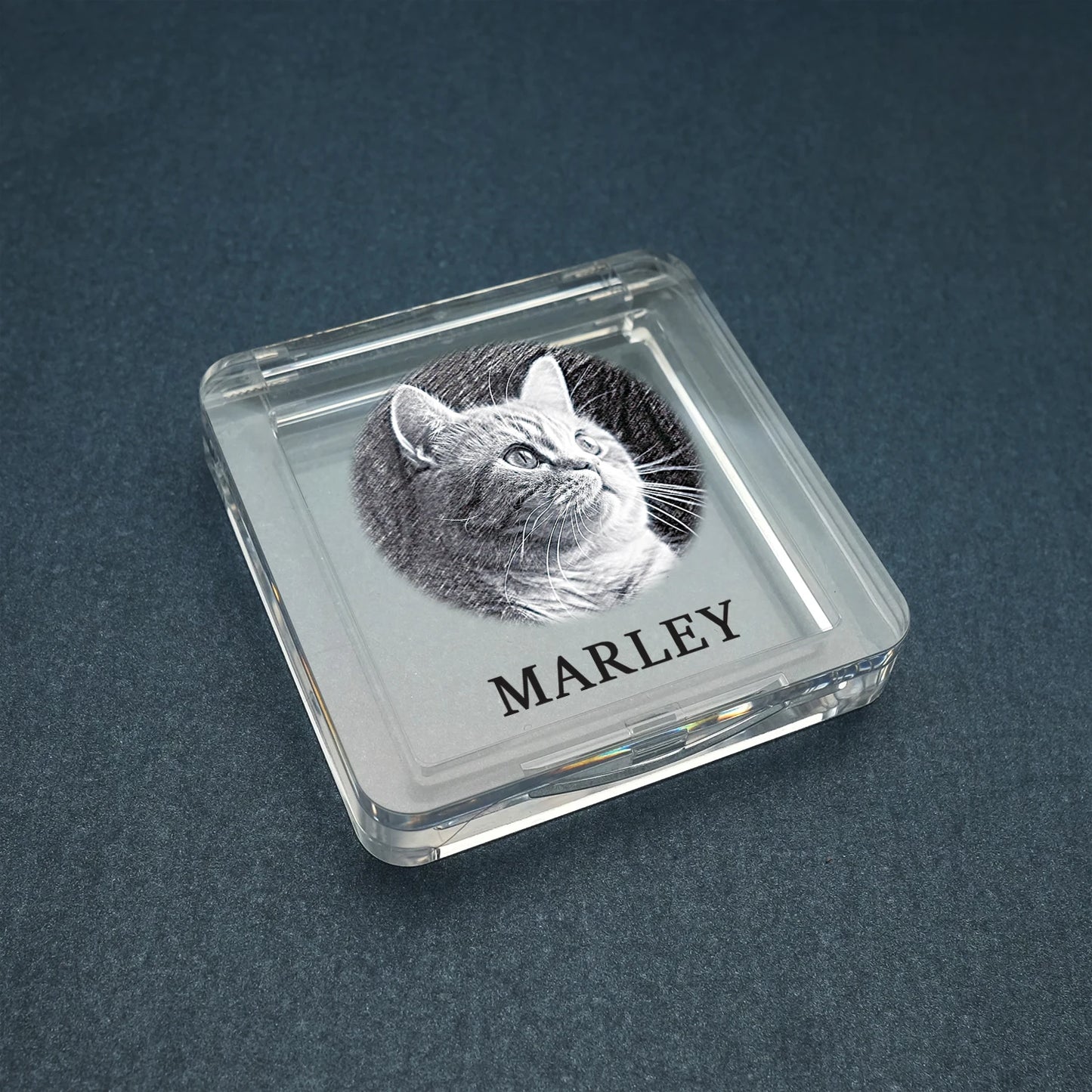 Recuerdo de piel de mascota personalizado con foto, caja de pelo de mascota personalizada, caja conmemorativa de piel de perro y gato, regalos personalizados para amantes de las mascotas